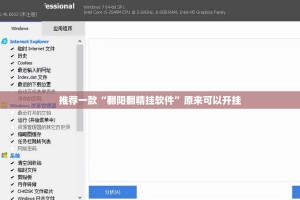 推荐一款“翻阳翻精挂软件”原来可以开挂