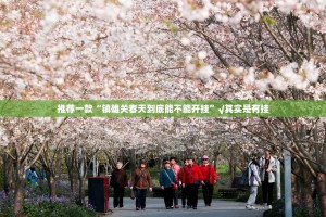 重大通报海星大厅真的有挂吗@太坑了真的有挂