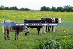 分享实测金牛有没有挂确实果然有挂(确实有挂)