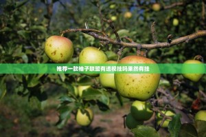 推荐一款柚子联盟有透视挂吗果然有挂
