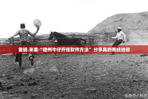 重磅.来袭“德州牛仔开挂软件方法”分享真的有挂给你