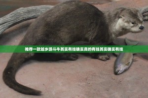 推荐一款越乡游斗牛其实有挂确实真的有挂其实确实有挂