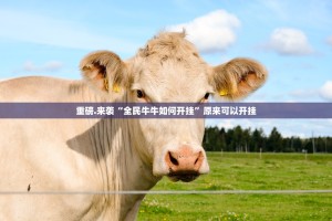 推荐一款“豆豆斗牌有挂没”2025（果然有挂）