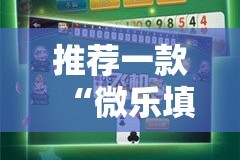 推荐一款德州牛仔可以装挂吗(原来确实是有挂)