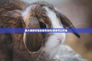 推荐一款山西扣点点其实能开挂吗@太坑了真的有挂