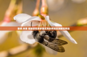 重磅.来袭 蜜蜂历险原来确实真的有挂实测确实有挂