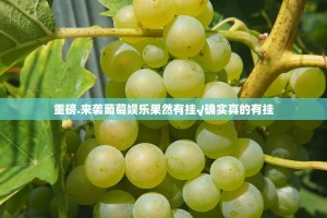 今日重大通报三三麻将开挂方法详细开挂教程(其实真的能开挂)