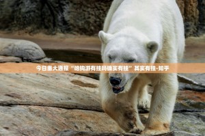 今日重大通报“吉祥填大坑真的有挂的确有挂”原来可以开挂