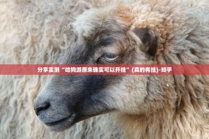 分享实测“哈狗游原来确实可以开挂”(真的有挂)-知乎