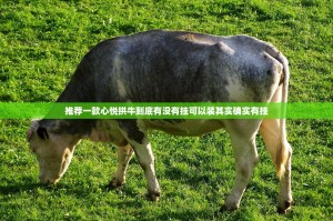 推荐一款心悦拱牛到底有没有挂可以装其实确实有挂