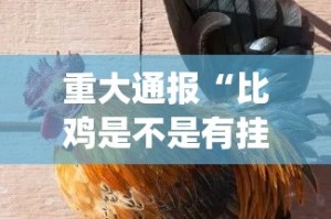 今日重大通报“掌上风云挂辅助工具”原来可以开挂