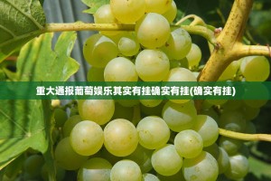 今日重大通报新八戒“其实有挂”确实有挂2025（果然有挂）