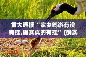 重大通报老铁联盟有没有挂,确实有挂@太坑了真的有挂