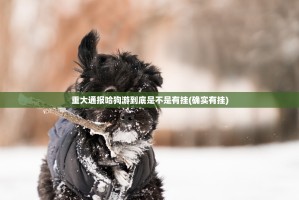 重大通报哈狗游到底是不是有挂(确实有挂)