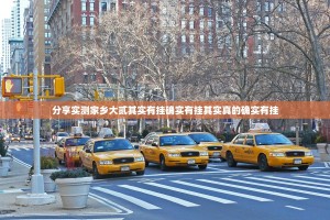 分享实测家乡大贰其实有挂确实有挂其实真的确实有挂