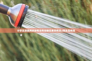 分享实测鱼网皮球有没有挂确实果然有挂√其实是有挂