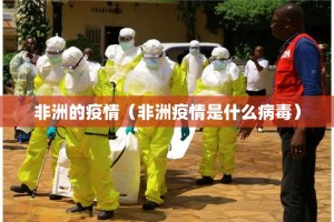 非洲的疫情（非洲疫情是什么病毒）