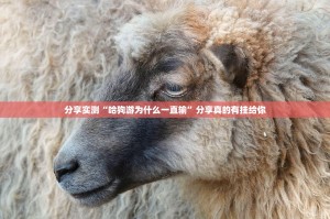 分享实测超盟开挂透视教程实测确实有挂