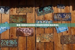 重磅.来袭微乐捉老麻子到底有没有挂(确实有挂)