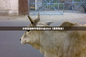 分享实测神牛怎样开挂2025（果然有挂）