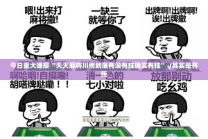 重磅.来袭掌酷十三张真的其实有挂(其实真的能开挂)