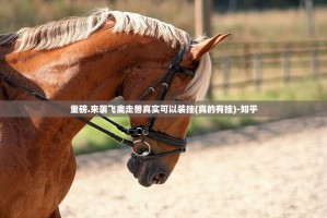 重磅.来袭飞禽走兽真实可以装挂(真的有挂)-知乎