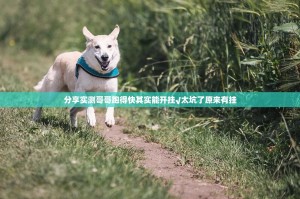 分享实测哥哥跑得快其实能开挂√太坑了原来有挂