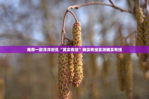 推荐一款洋洋挖花“其实有挂”确实有挂实测确实有挂