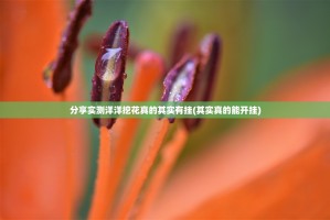 分享实测洋洋挖花真的其实有挂(其实真的能开挂)