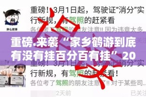 重磅.来袭“家乡鹤游到底有没有挂百分百有挂”2025（果然有挂）