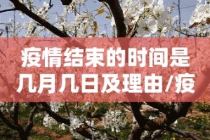 分享实测新西游确实真的有挂!(确实有挂)