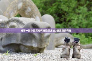 推荐一款中至窝龙有挂稳赢方法√确实真的有挂