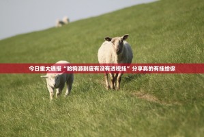 重大通报多乐跑胡子其实确实真的有挂真的确实有挂