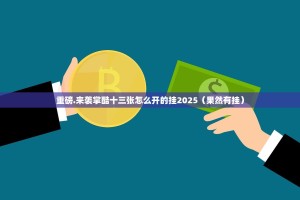 重磅.来袭掌酷十三张怎么开的挂2025（果然有挂）