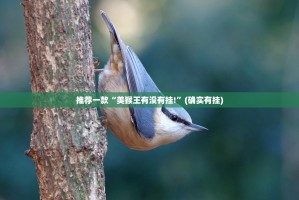 推荐一款“美猴王有没有挂!”(确实有挂)