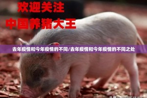 重磅.来袭莆仙微乐其实能开挂√必胜开挂神器