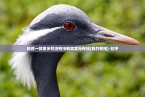 推荐一款家乡鹤游有挂吗其实是有挂(真的有挂)-知乎