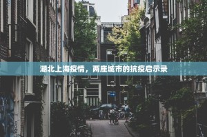 湖北上海疫情，两座城市的抗疫启示录