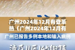 合肥市疫情政策措施，精准防控下的城市治理智慧