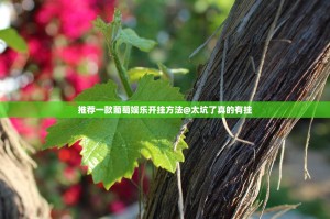 分享实测柚子联盟有没有挂确实有挂(真的有挂)-知乎