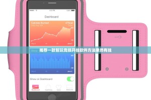 推荐一款智玩竞技开挂软件方法果然有挂