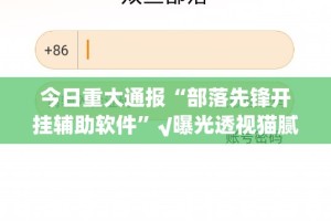 今日重大通报“部落先锋开挂辅助软件”√曝光透视猫腻