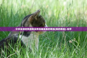 分享实测哈狗游其实有挂确实真的有挂(真的有挂)-知乎