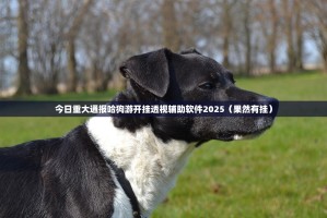 今日重大通报哈狗游开挂透视辅助软件2025（果然有挂）