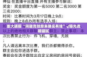 重大通报“闲趣竞技原来确实有挂”√曝光透视猫腻
