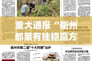 重磅.来袭星火燎原有透视挂吗原来可以开挂