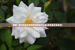 分享实测玉海楼茶苑到底能开挂吗其实确实有挂