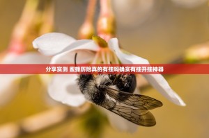 分享实测 蜜蜂历险真的有挂吗确实有挂开挂神器