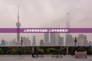 上海市疫情情况最新/上海市疫情情况?