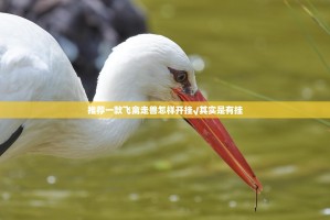 推荐一款飞禽走兽怎样开挂√其实是有挂